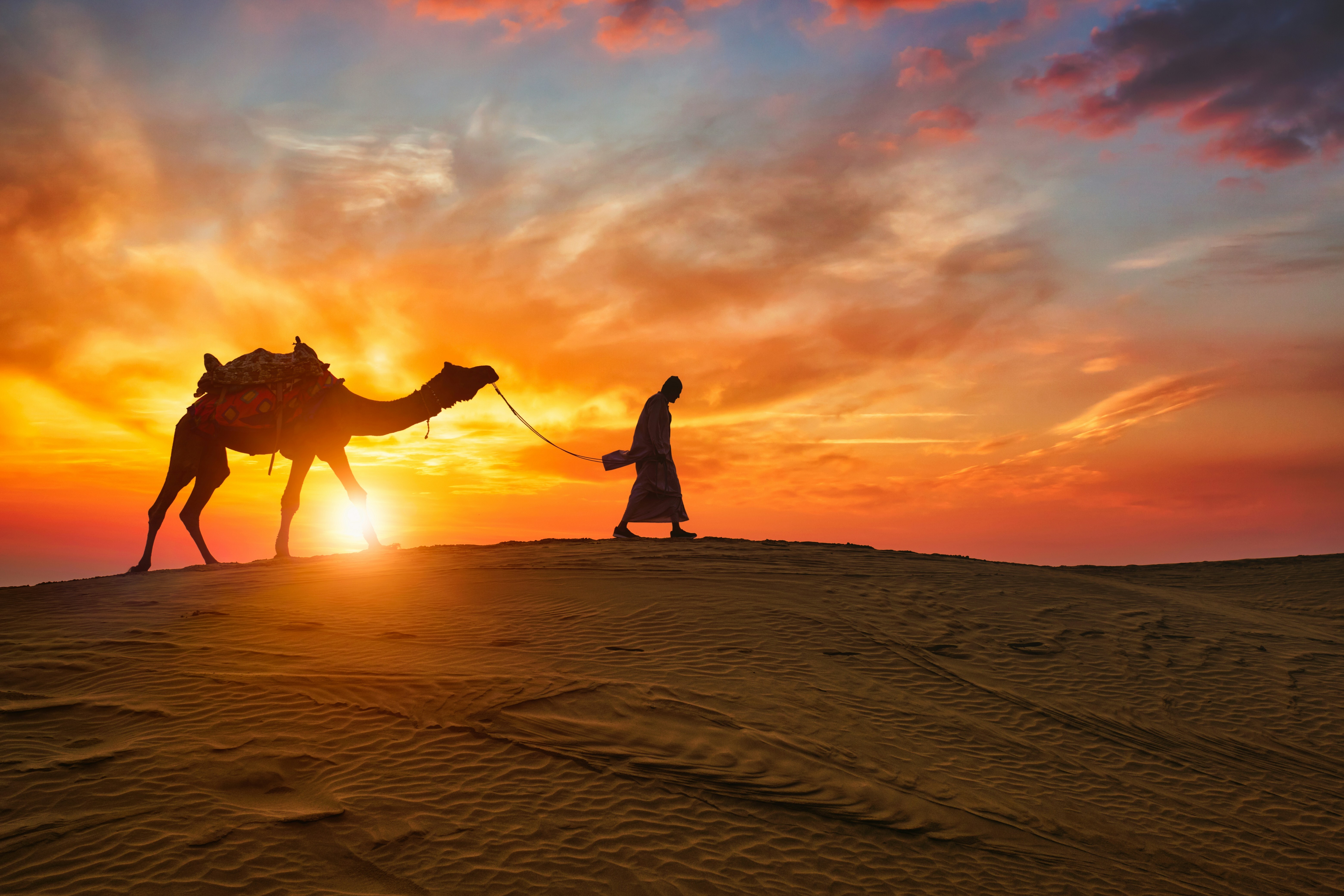 India Tour Packages Itineraries | Royal Rajasthan A Majestic 5day Journey | Touron | Touron Holidays | Best Travel Agency