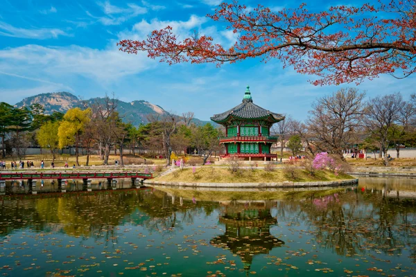 South Korea tour packages