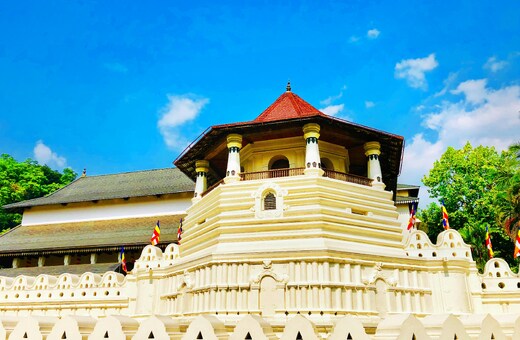 SriLanka's Special Offer