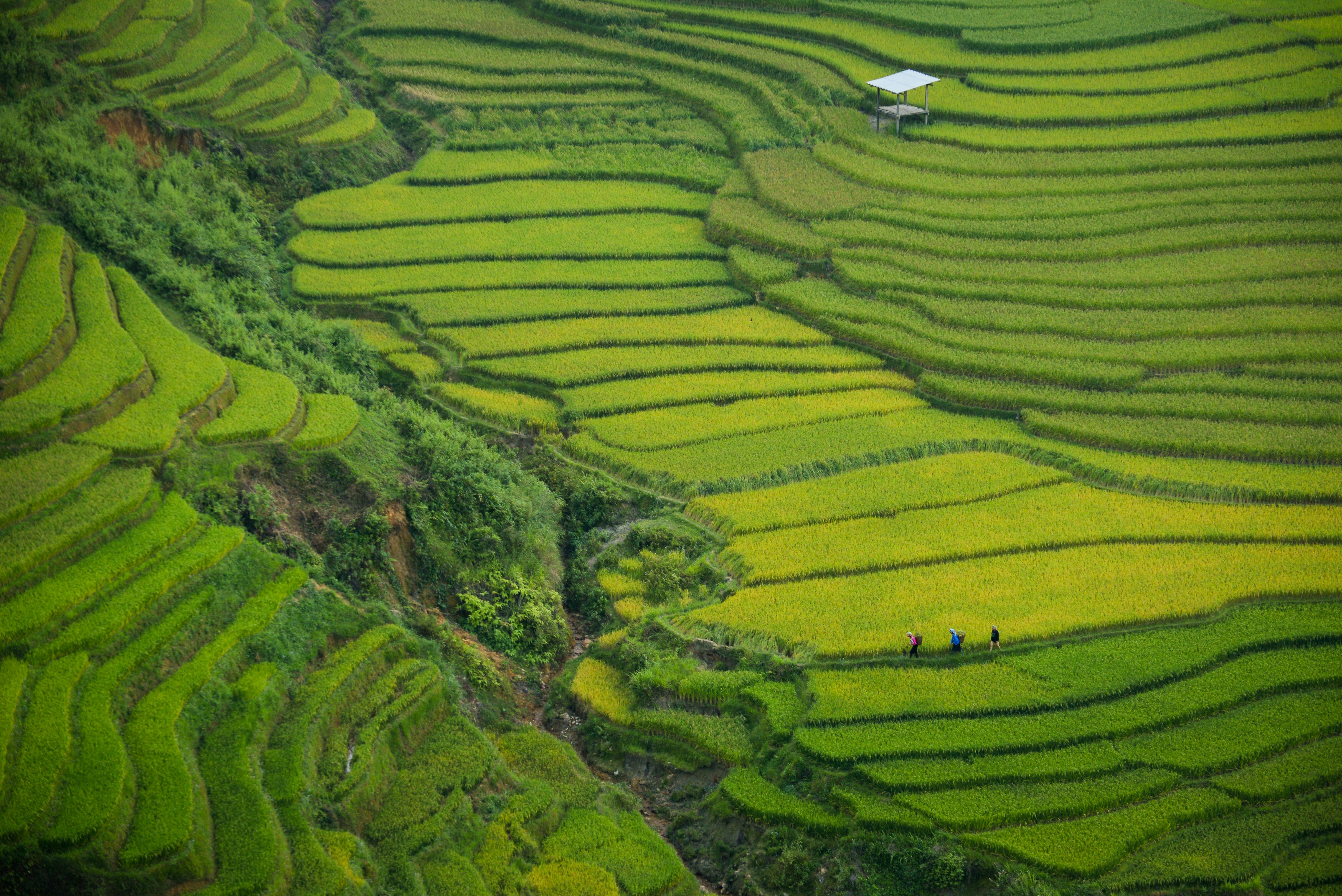Vietnam tour packages