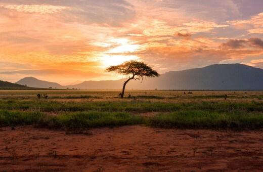 The Great Kenyan Escape: Big Five & Beyond