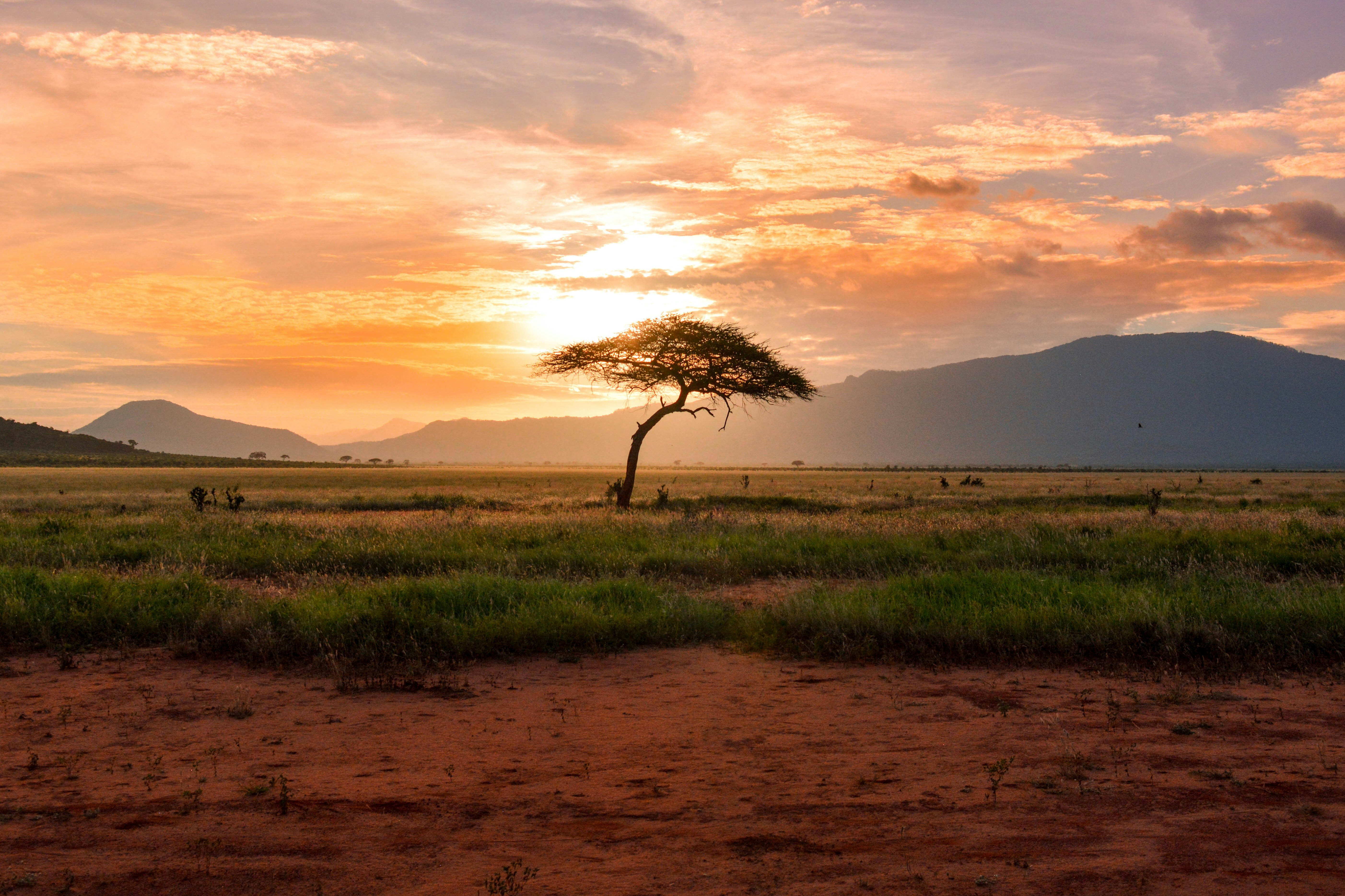 Africa Kenya Tour Packages Itineraries | Kenyas Wild Wonders | Touron | Touron Holidays | Best Travel Agency
