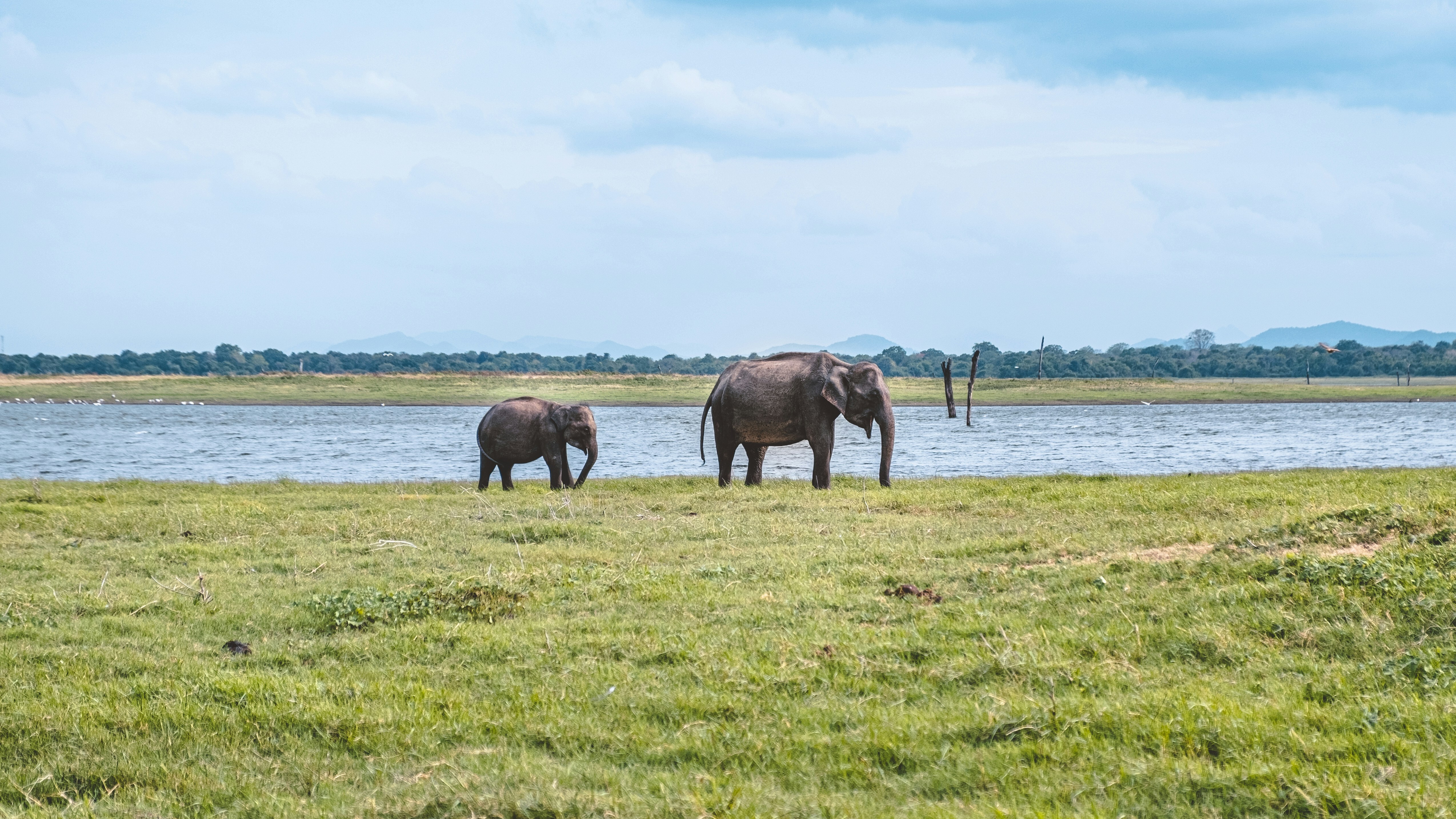 Sri Lanka tour packages