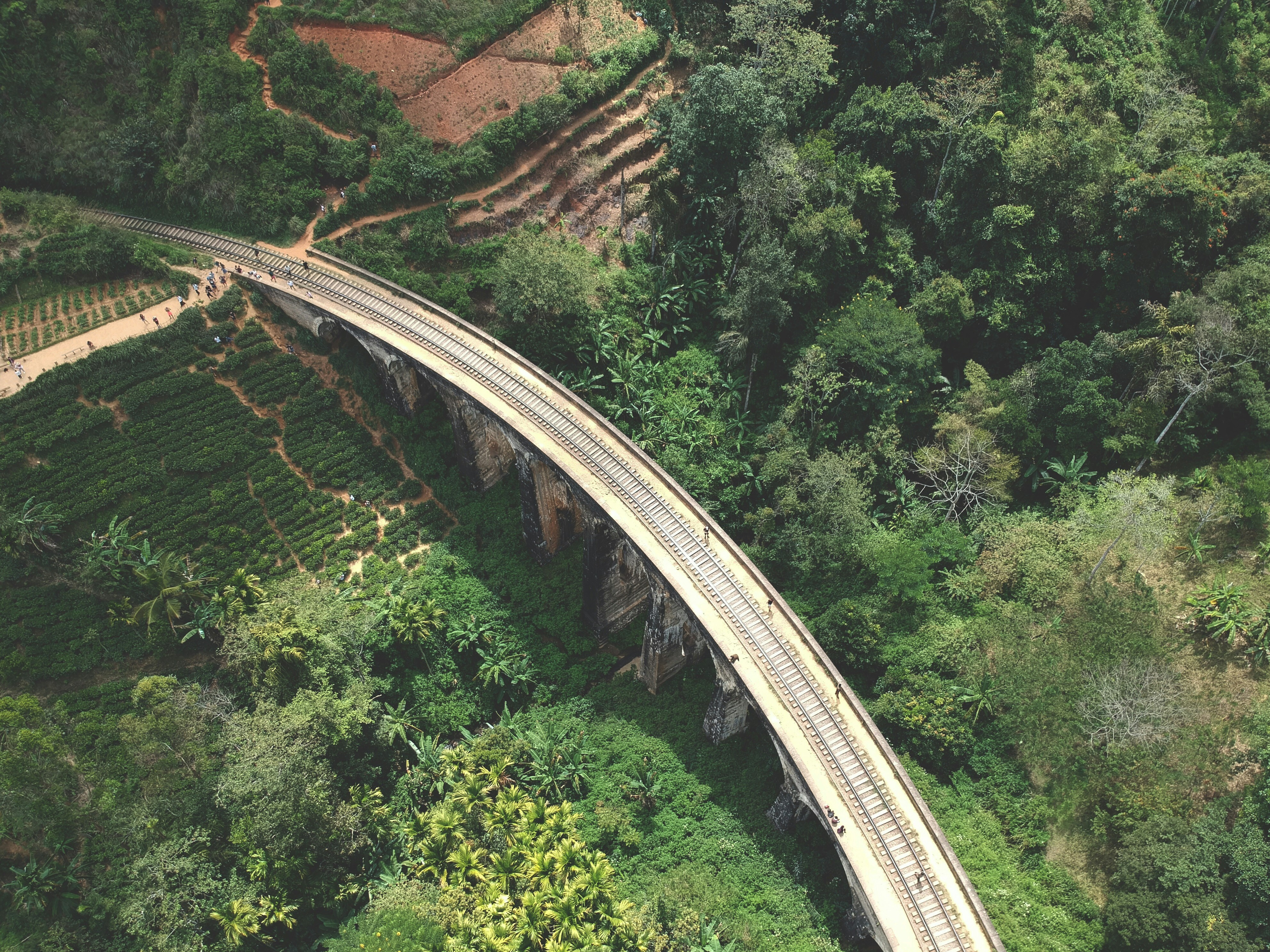 Sri Lanka tour packages
