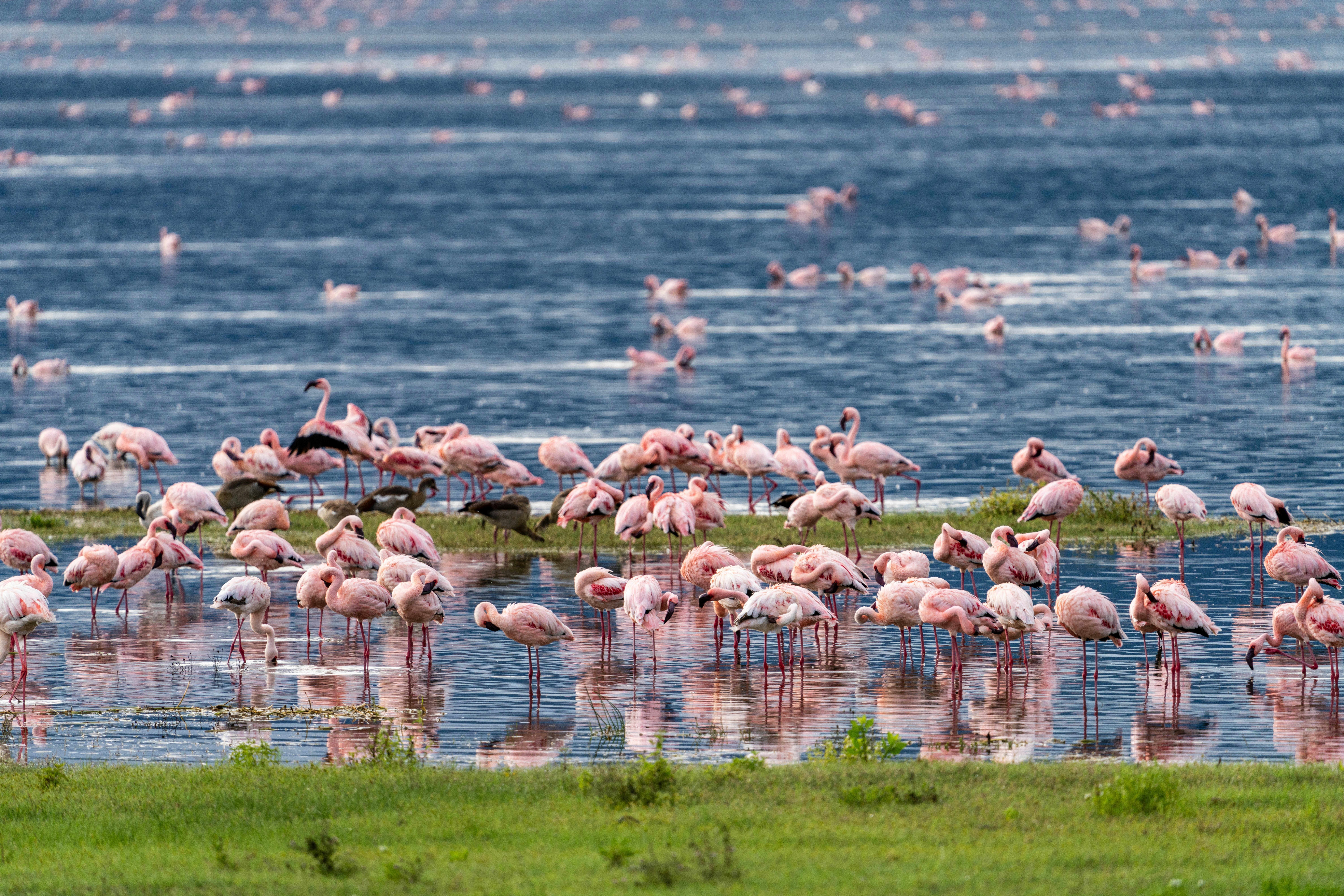 Tanzania tour packages