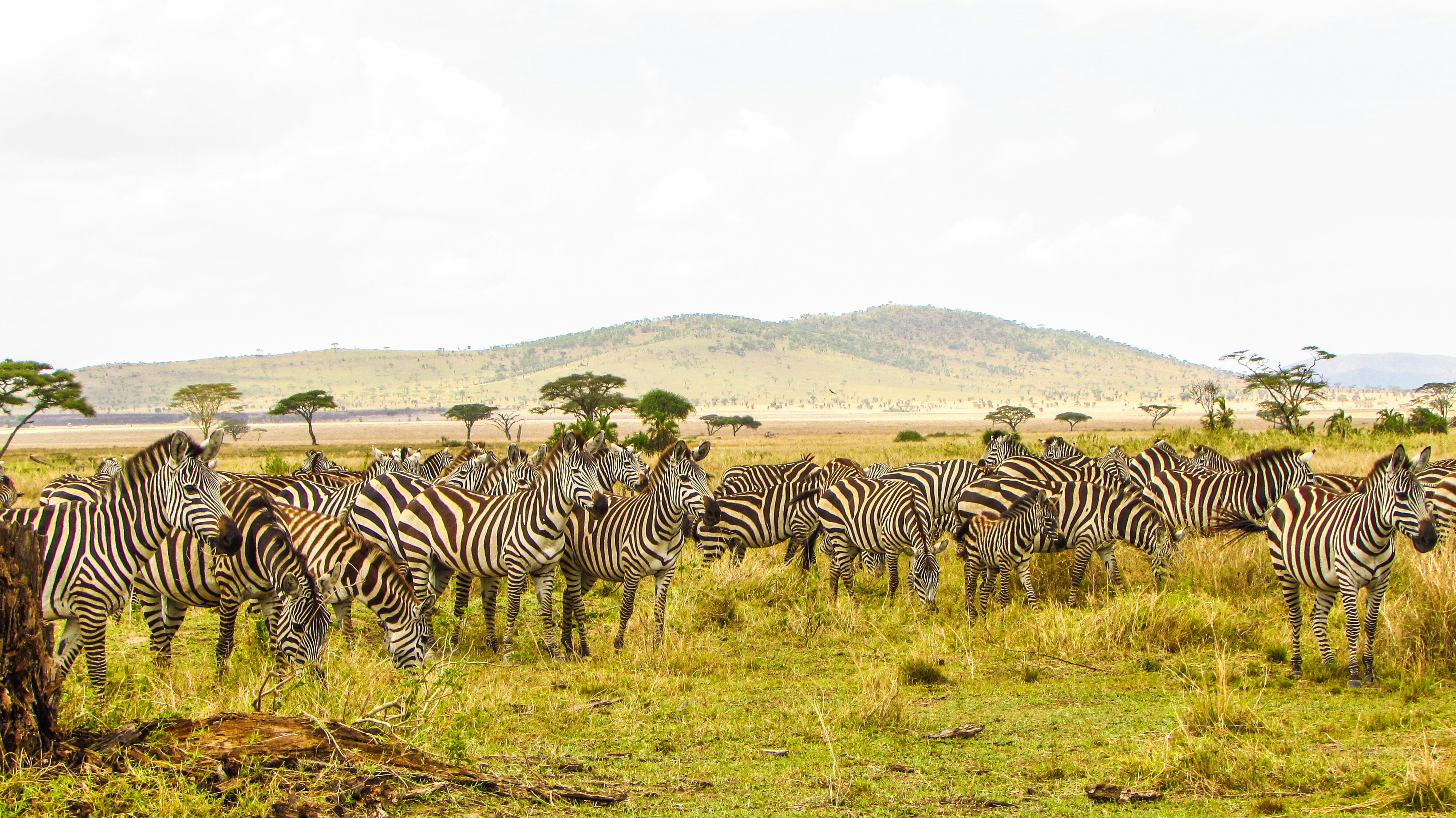 Tanzania tour packages
