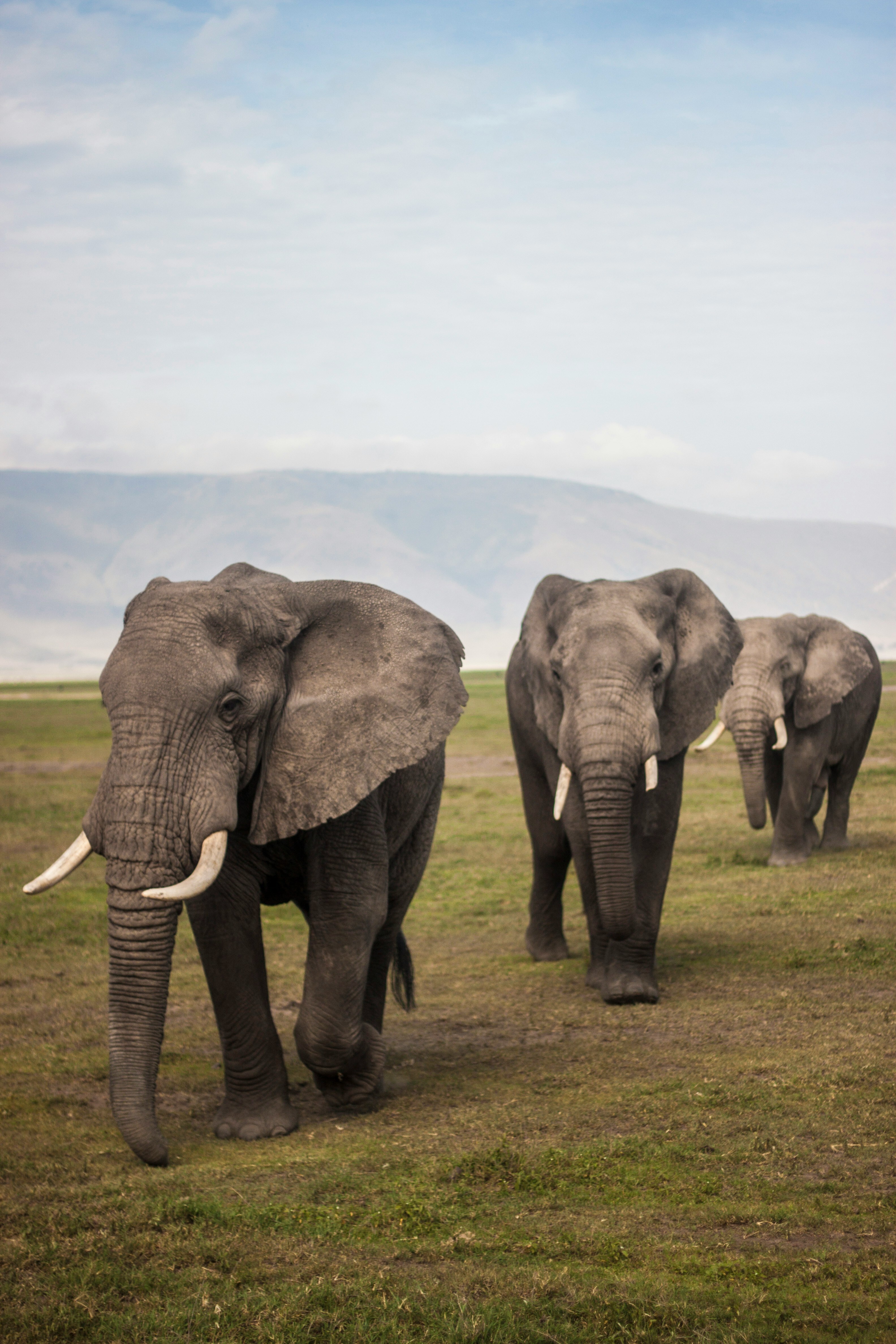 Tanzania tour packages