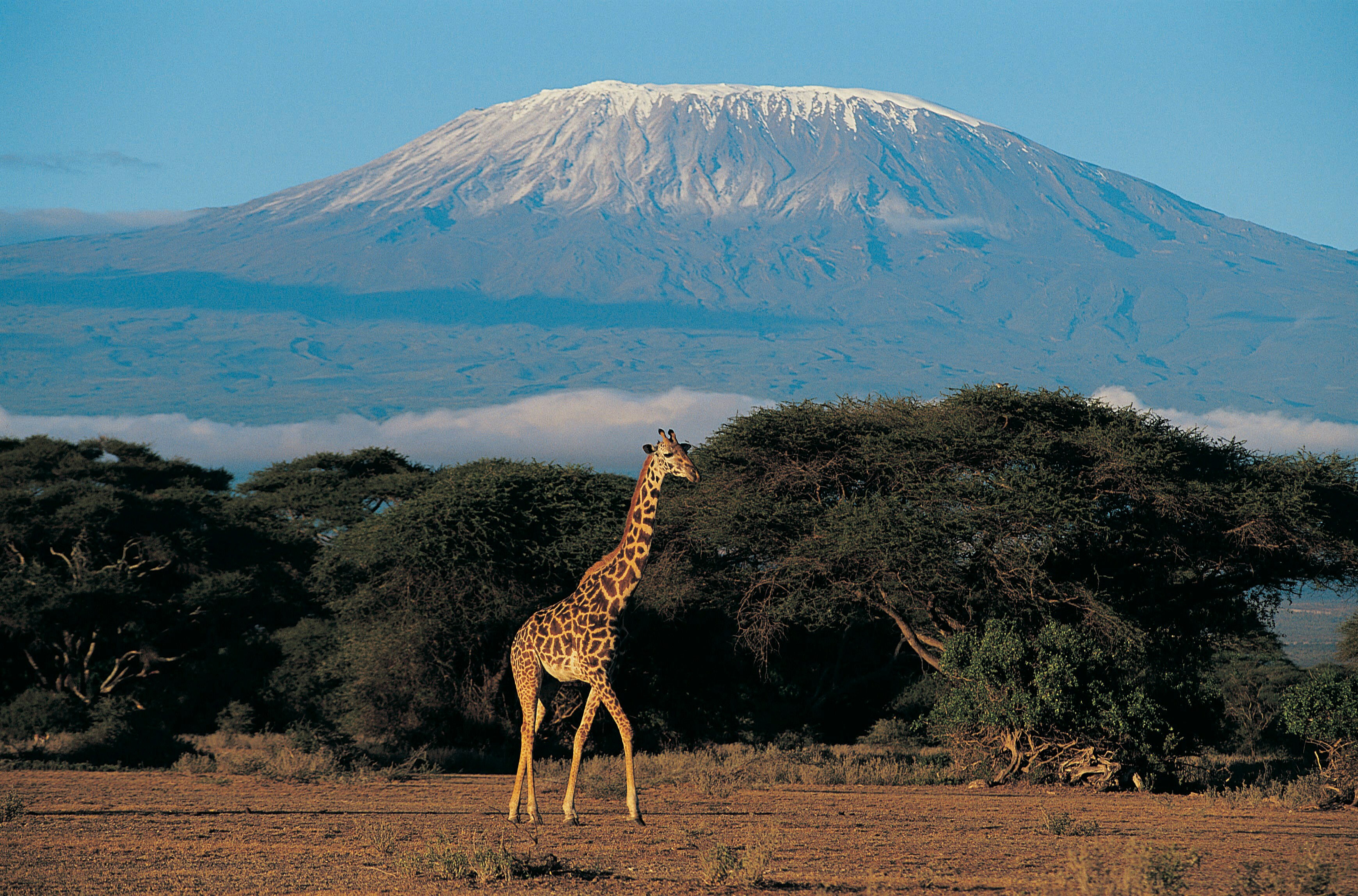 Kenya tour packages