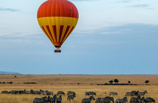 Roar & Explore: 6 Days in Tanzania's Wild North
