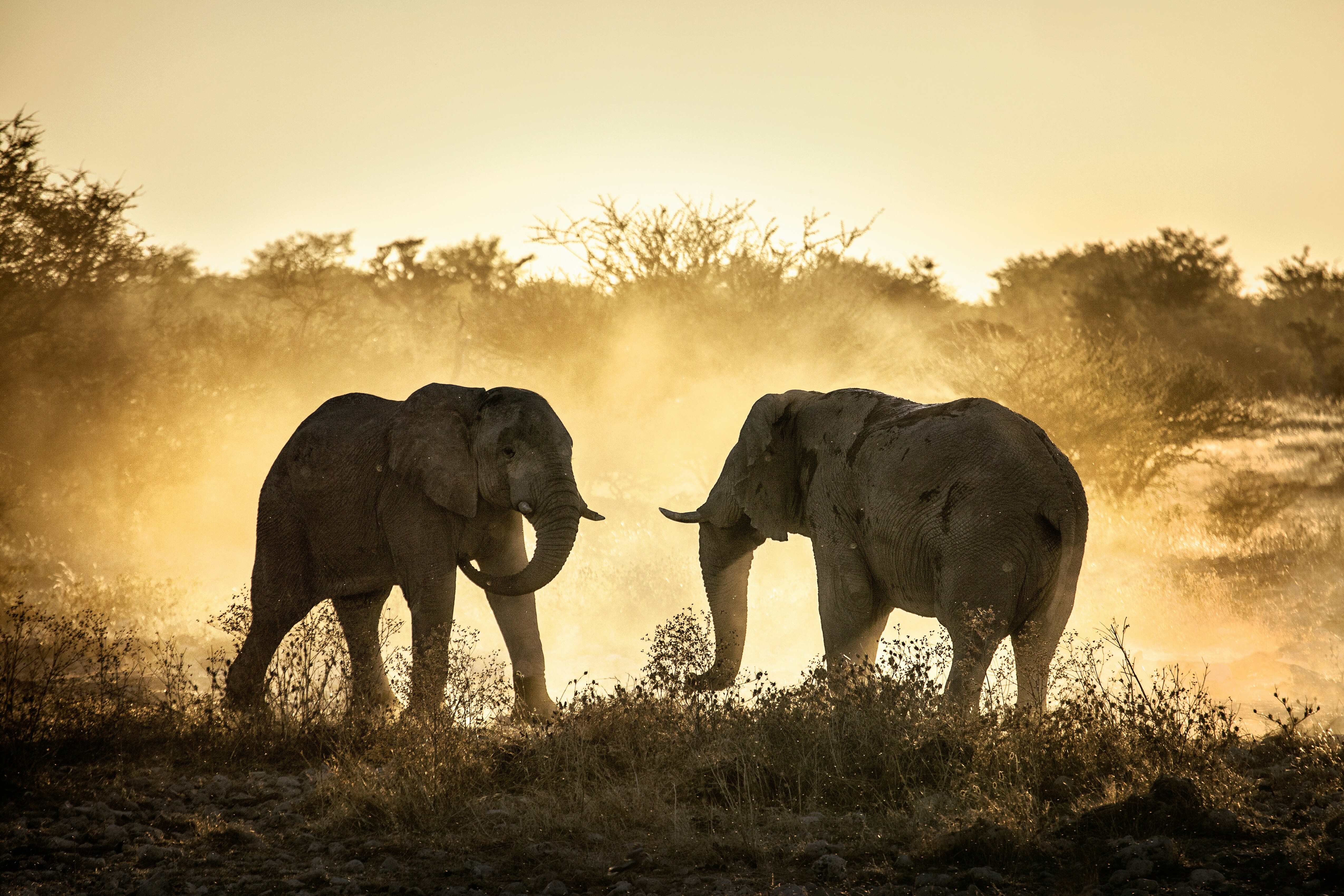 Kenya tour packages