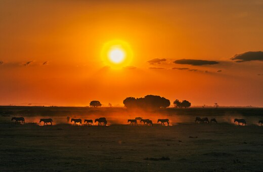  Untamed Kenya: A Week of Wildlife, Wonders & Landscapes