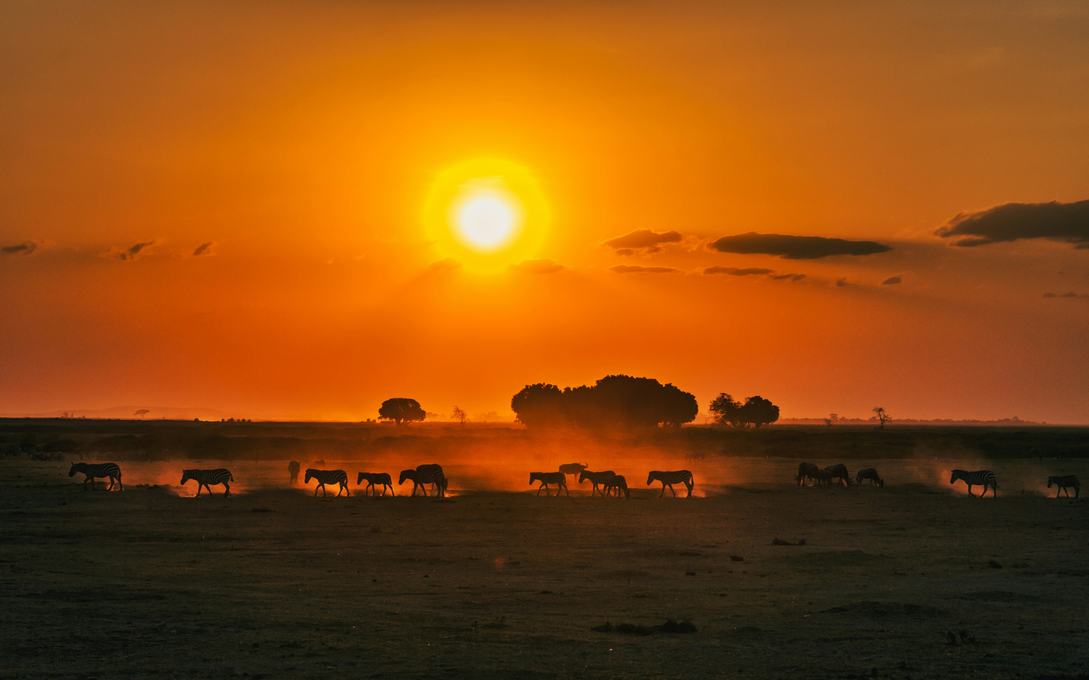 Kenya tour packages