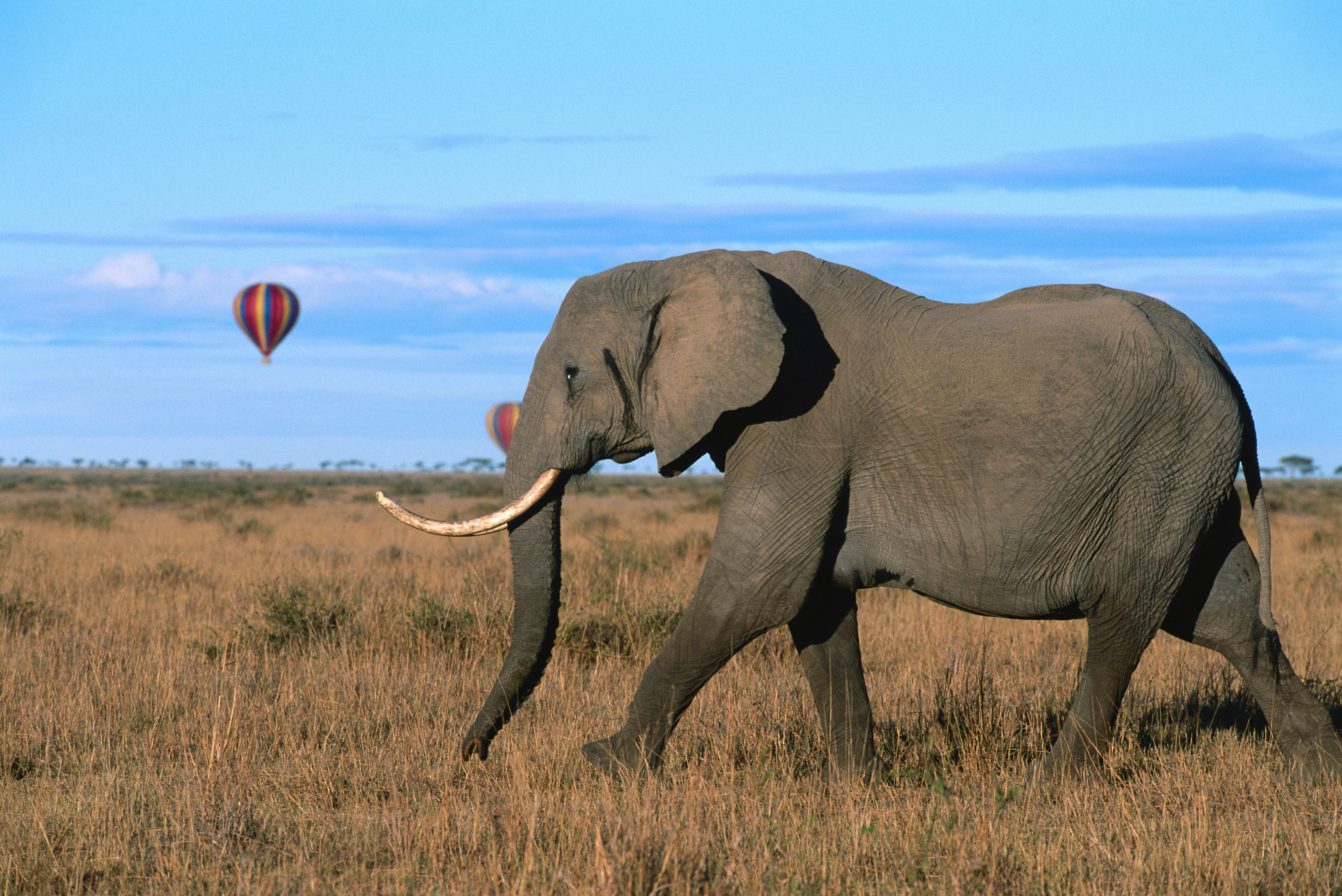 Kenya tour packages