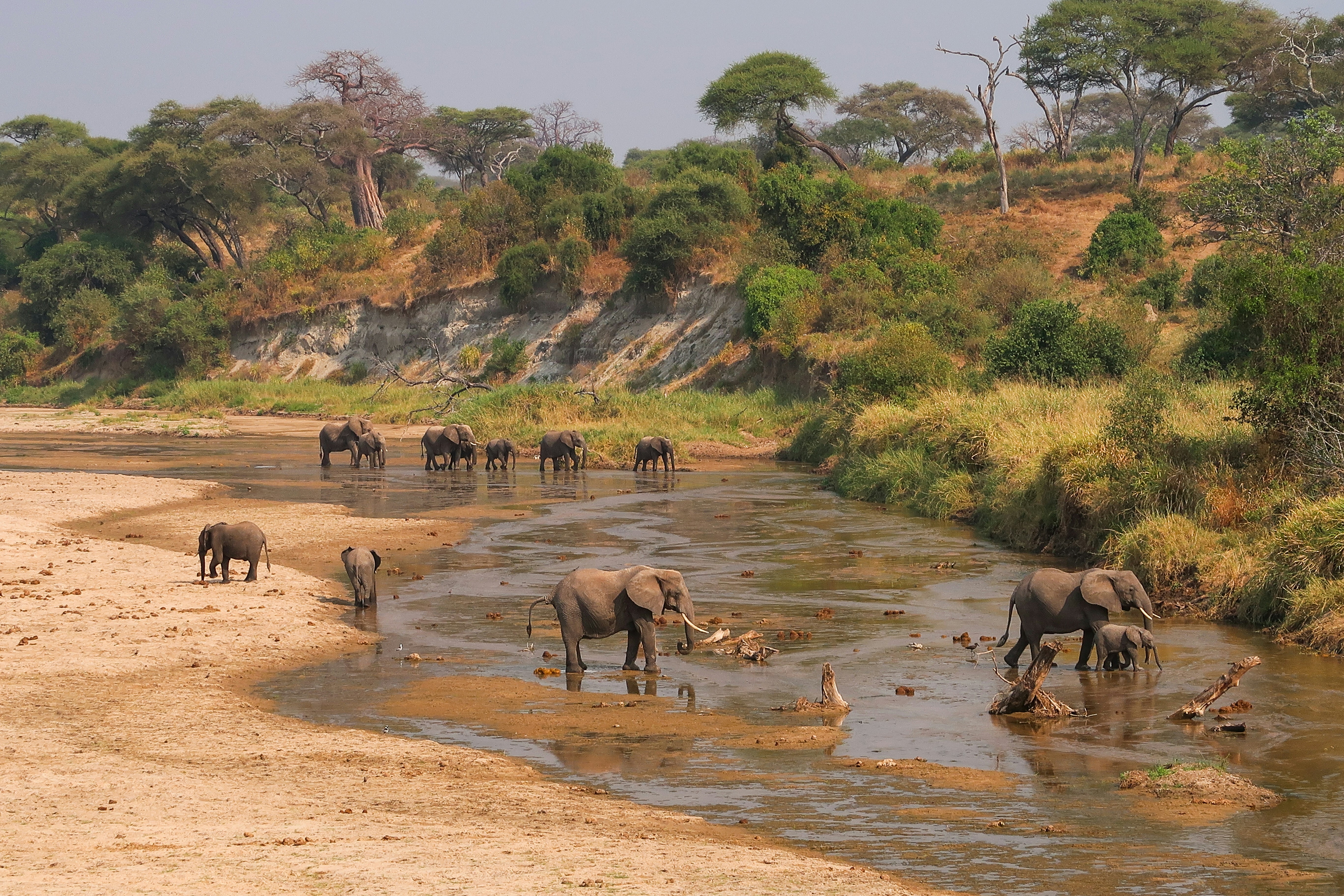 Tanzania tour packages
