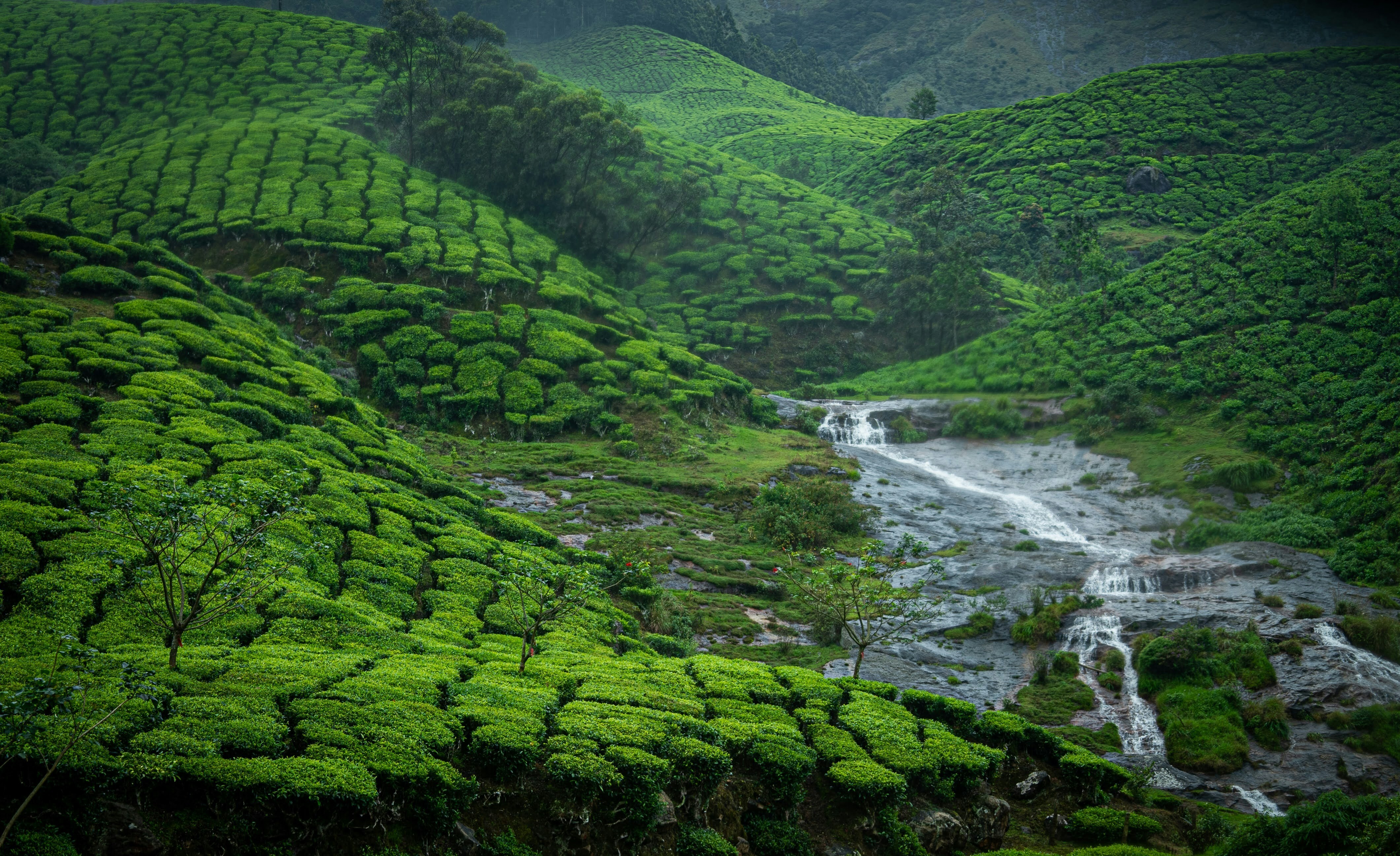 India tour packages