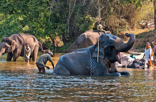 The Coorg Chapter in 4 Days