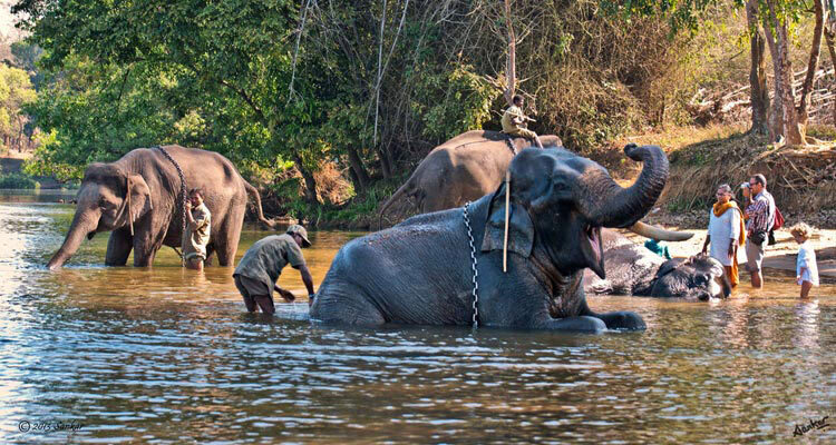 The Coorg Chapter in 4 Days