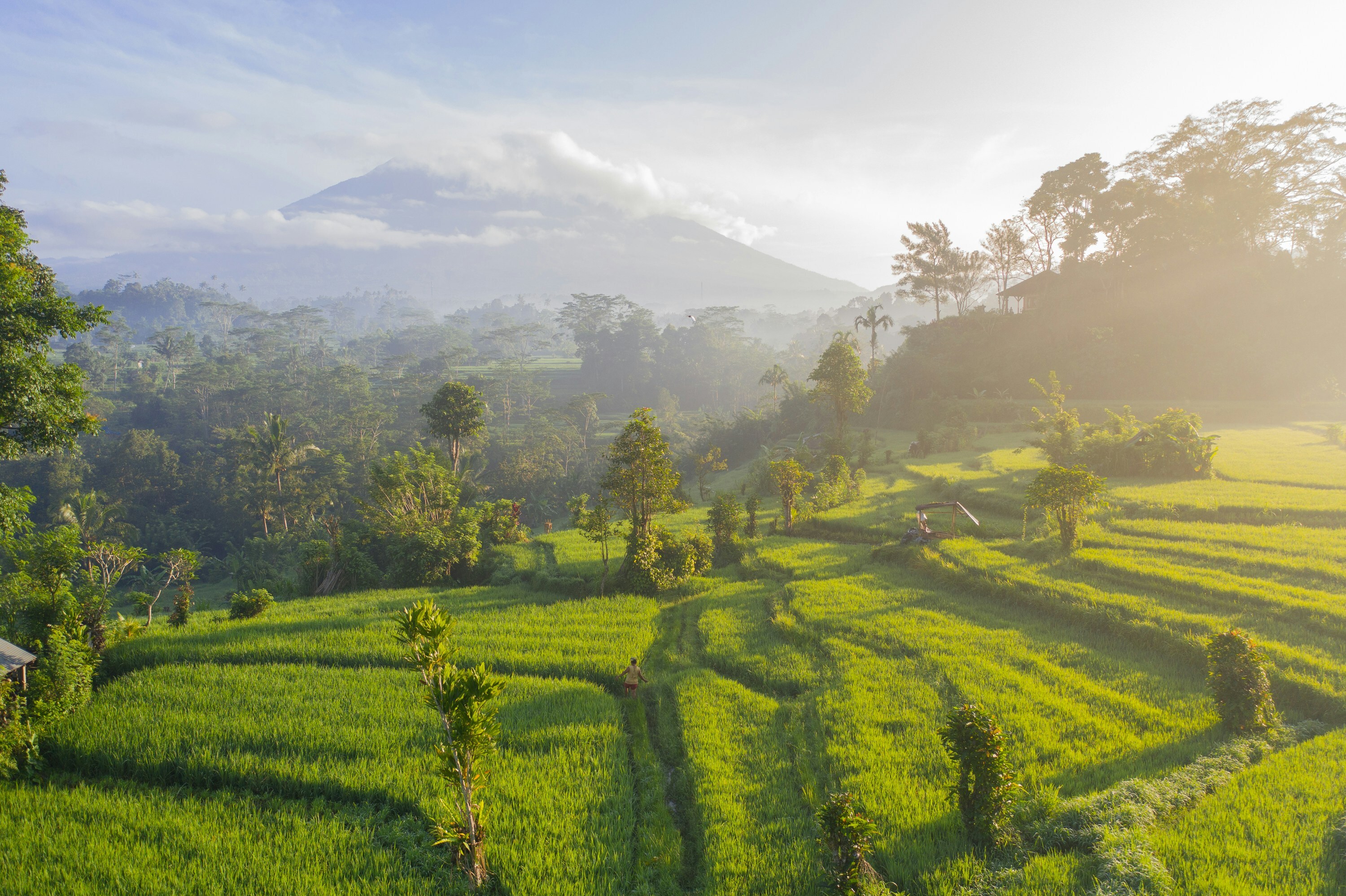 Indonesia tour packages