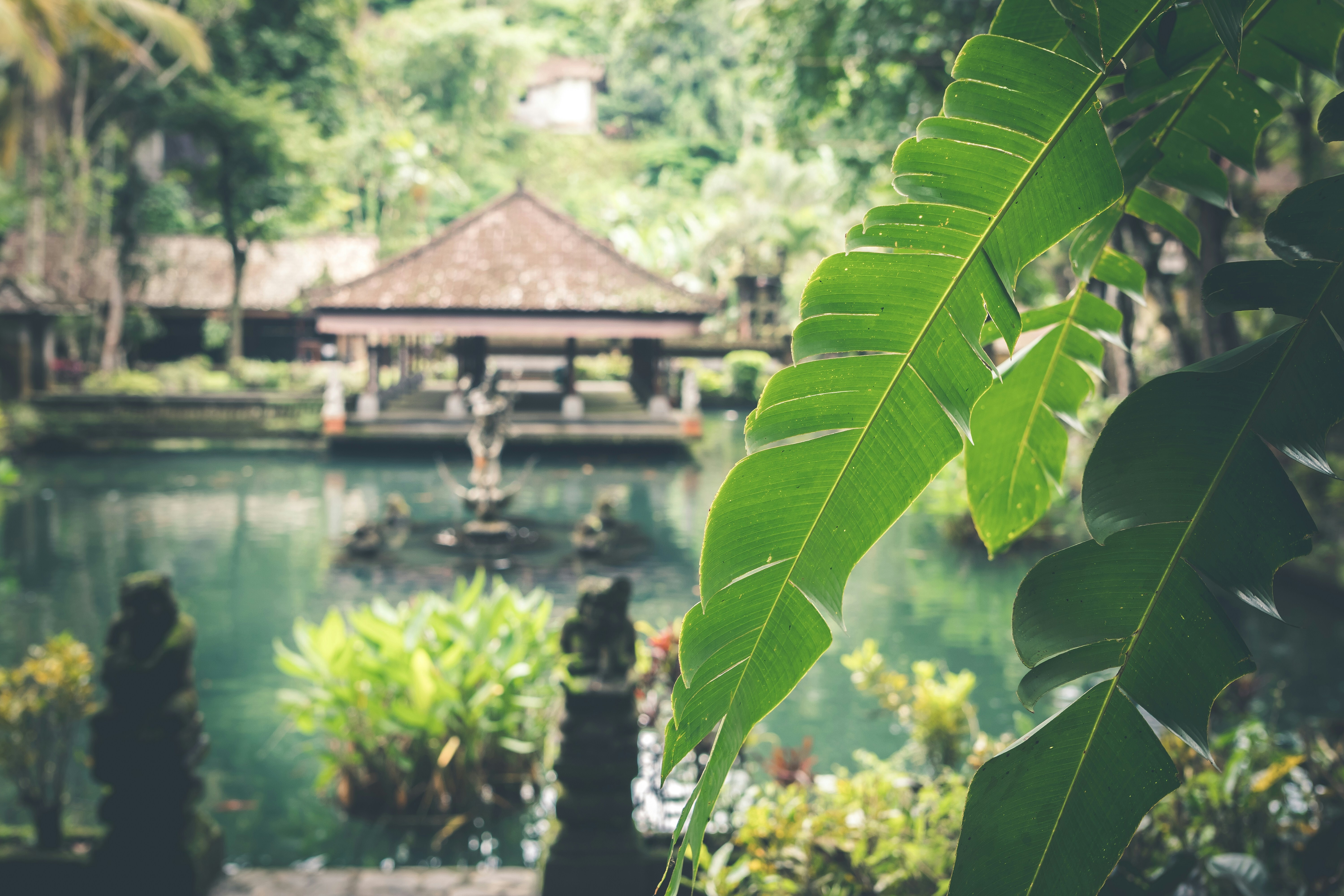 Indonesia Tour Packages Itineraries | Bali Escape With Jungle Hopper Free Visa | Touron | Touron Holidays | Best Travel Agency