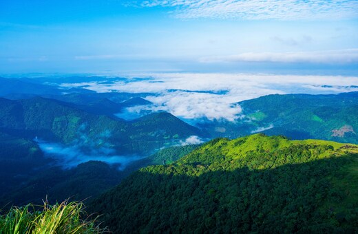 Vagamon & Idukki Escape – A Scenic 4-Day Getaway from Kochi