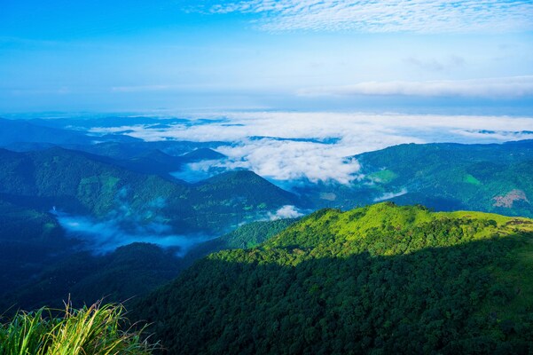 Vagamon & Idukki Escape – A Scenic 4-Day Getaway from Kochi
