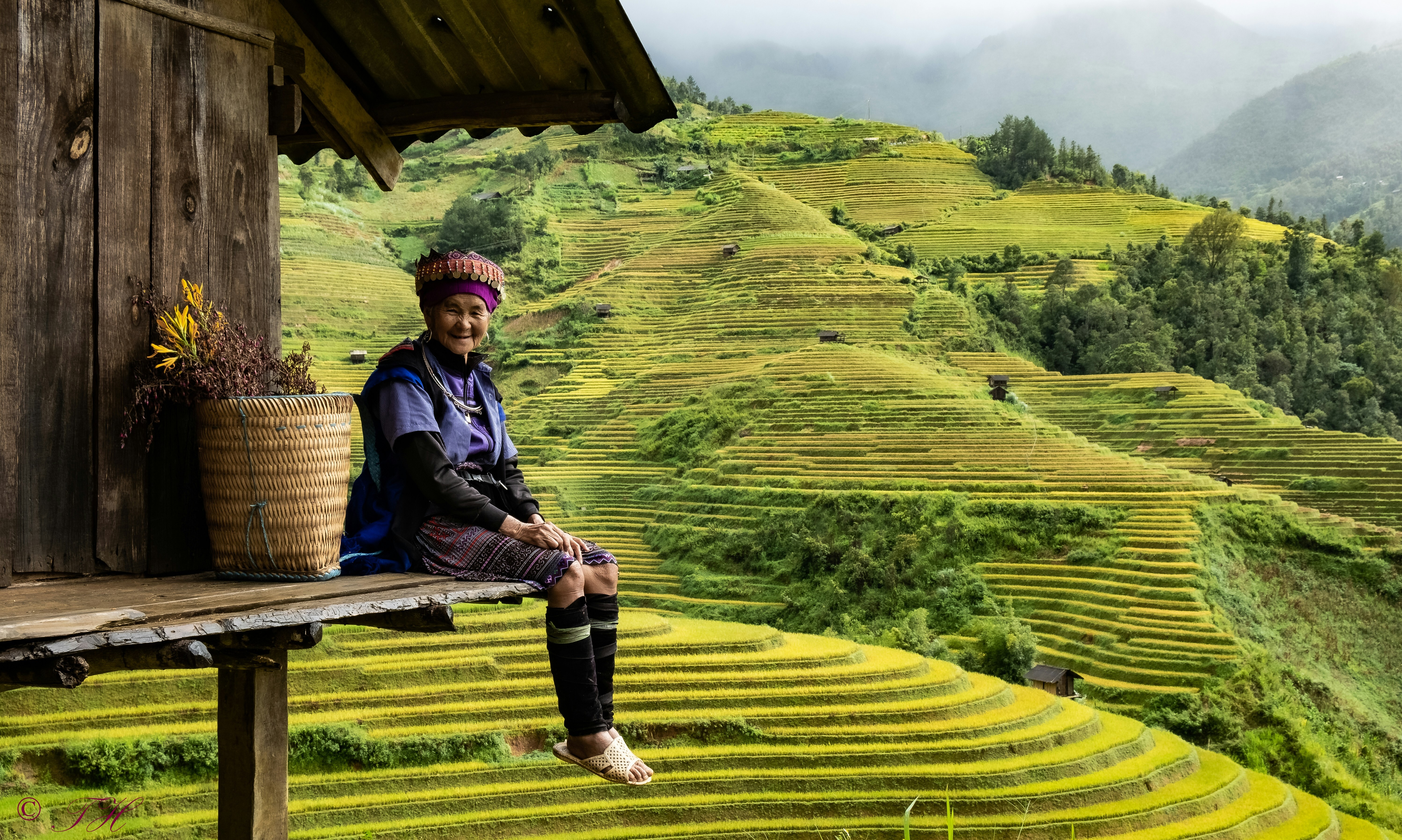 Vietnam Tour Packages Itineraries | Vietnam Escapade 8 Days Tour | Touron | Touron Holidays | Best Travel Agency