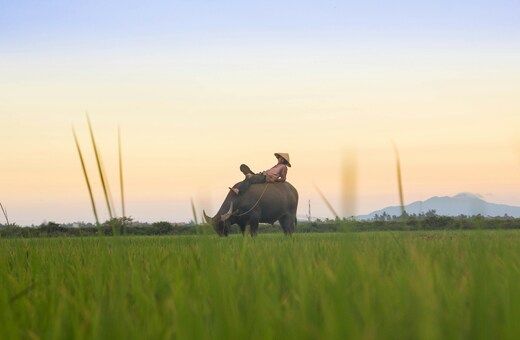 Legends of Indochina: Vietnam & Cambodia Discovery (Vietnam Cambodia Tour Packages From India)