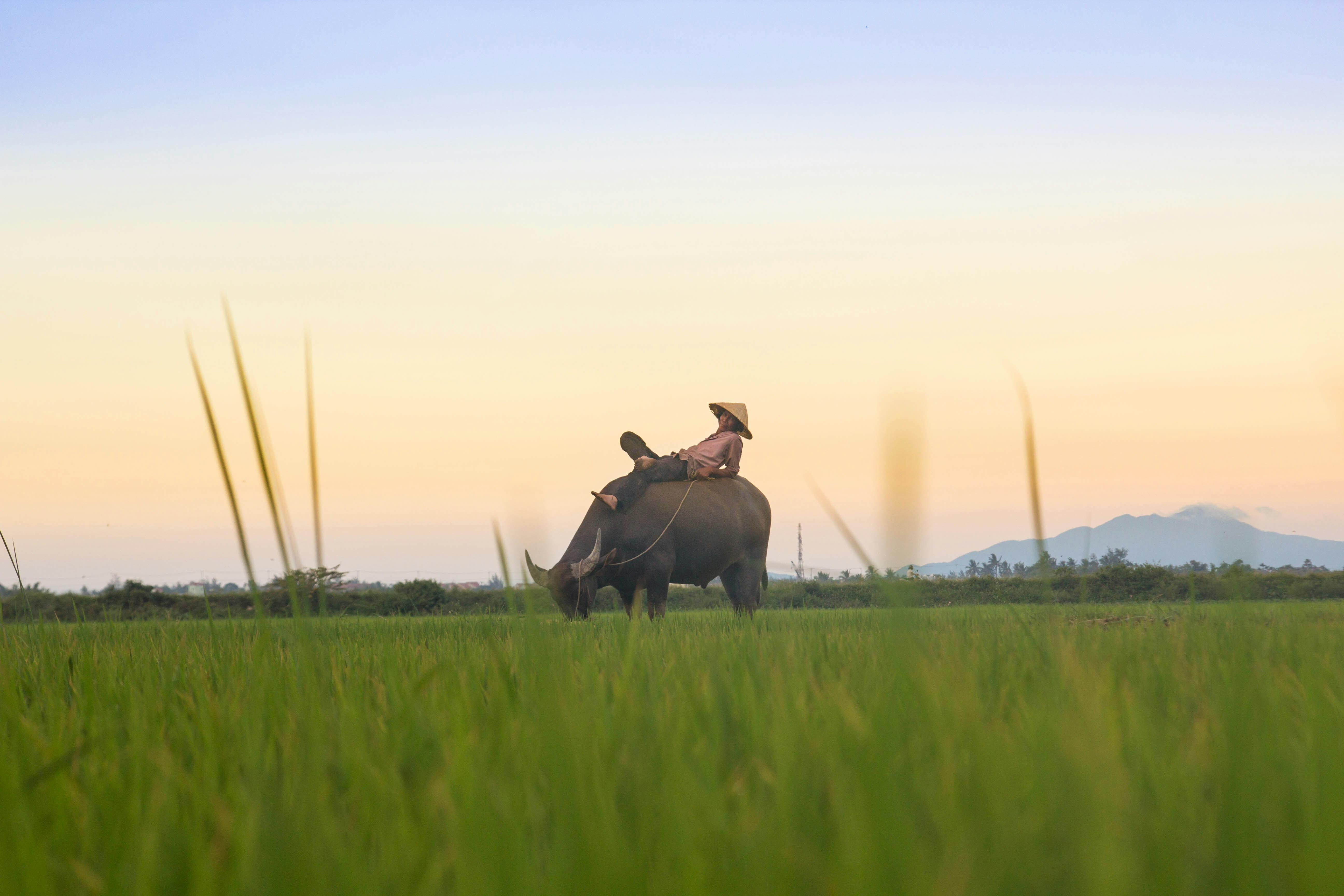 Vietnam, Cambodia tour packages
