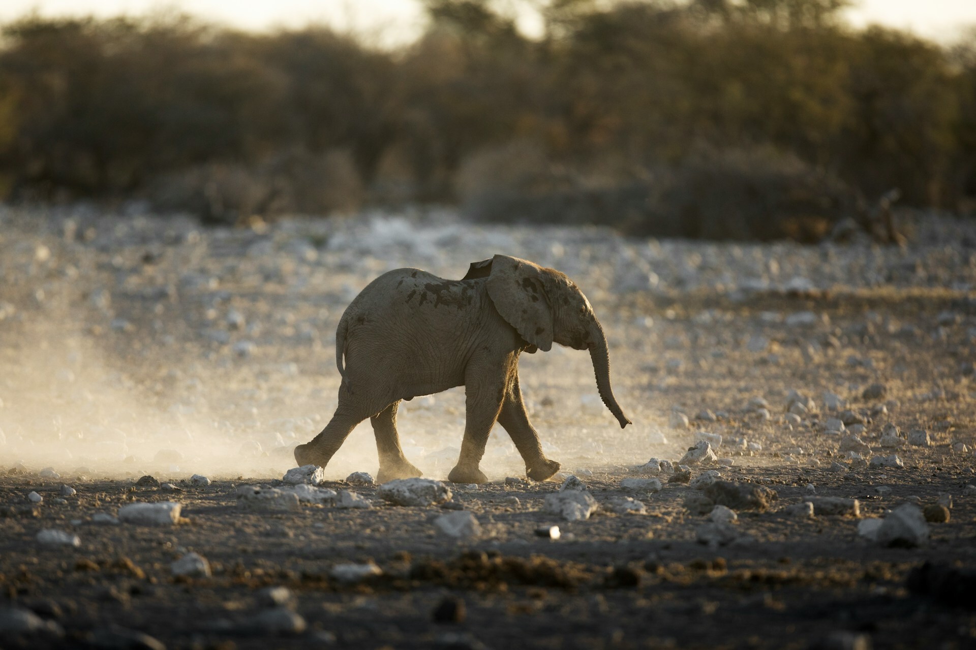 Africa Kenya Tour Packages Itineraries | Adevnture Kenya Maasai Mara Expedition | Touron | Touron Holidays | Best Travel Agency