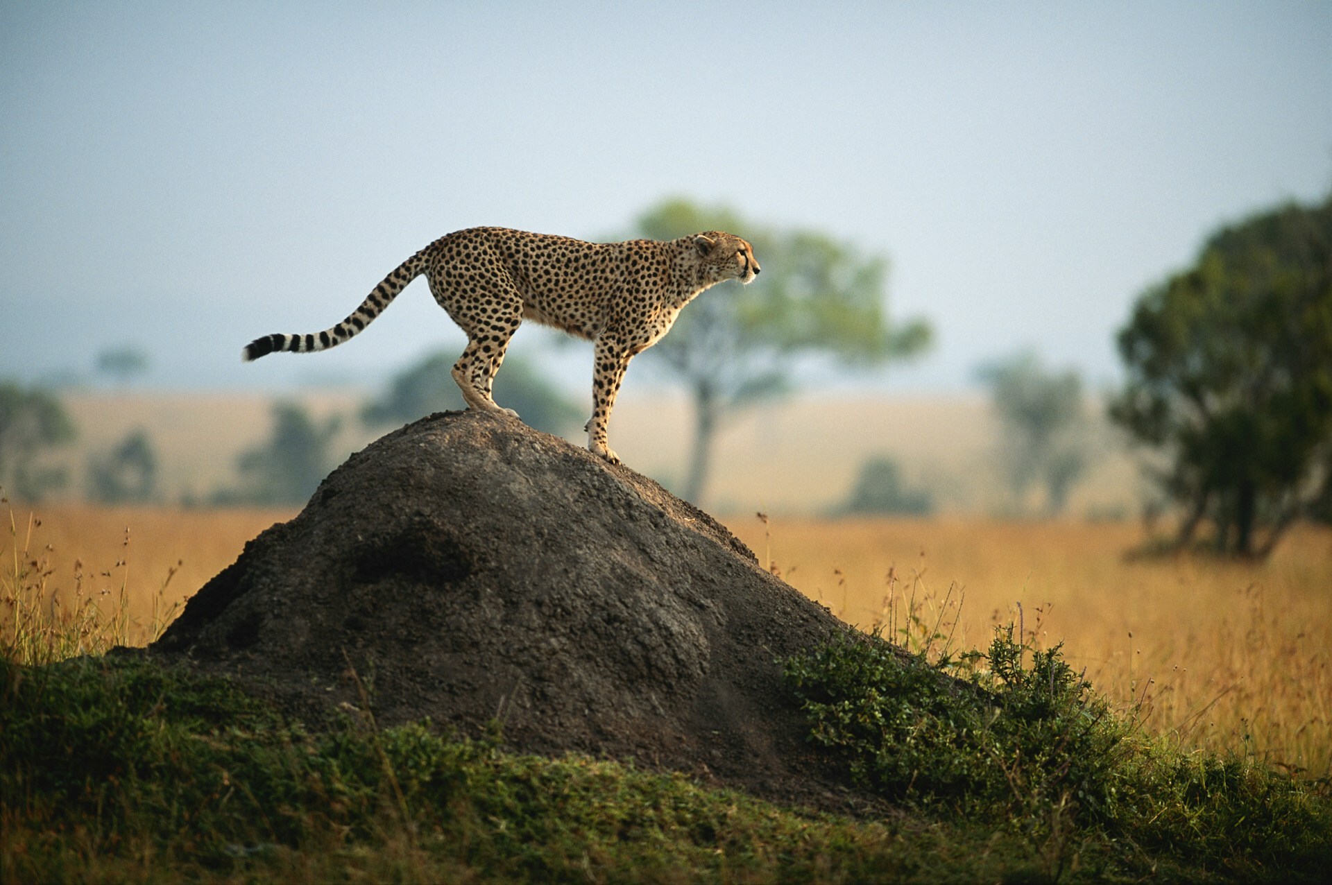 Africa Kenya Tour Packages Itineraries | Adevnture Kenya Maasai Mara Expedition | Touron | Touron Holidays | Best Travel Agency