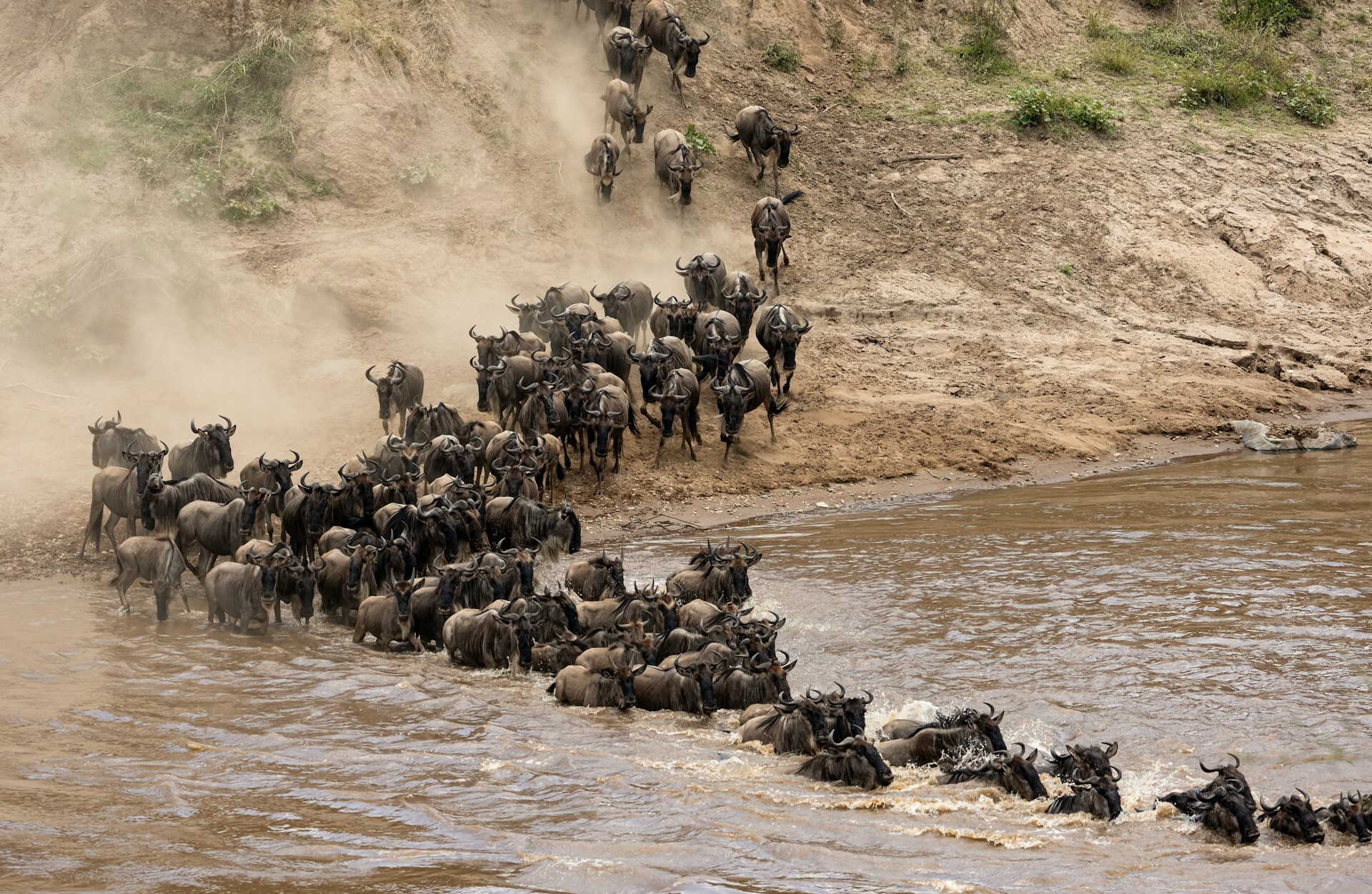 Africa Kenya Tour Packages Itineraries | Adevnture Kenya Maasai Mara Expedition | Touron | Touron Holidays | Best Travel Agency