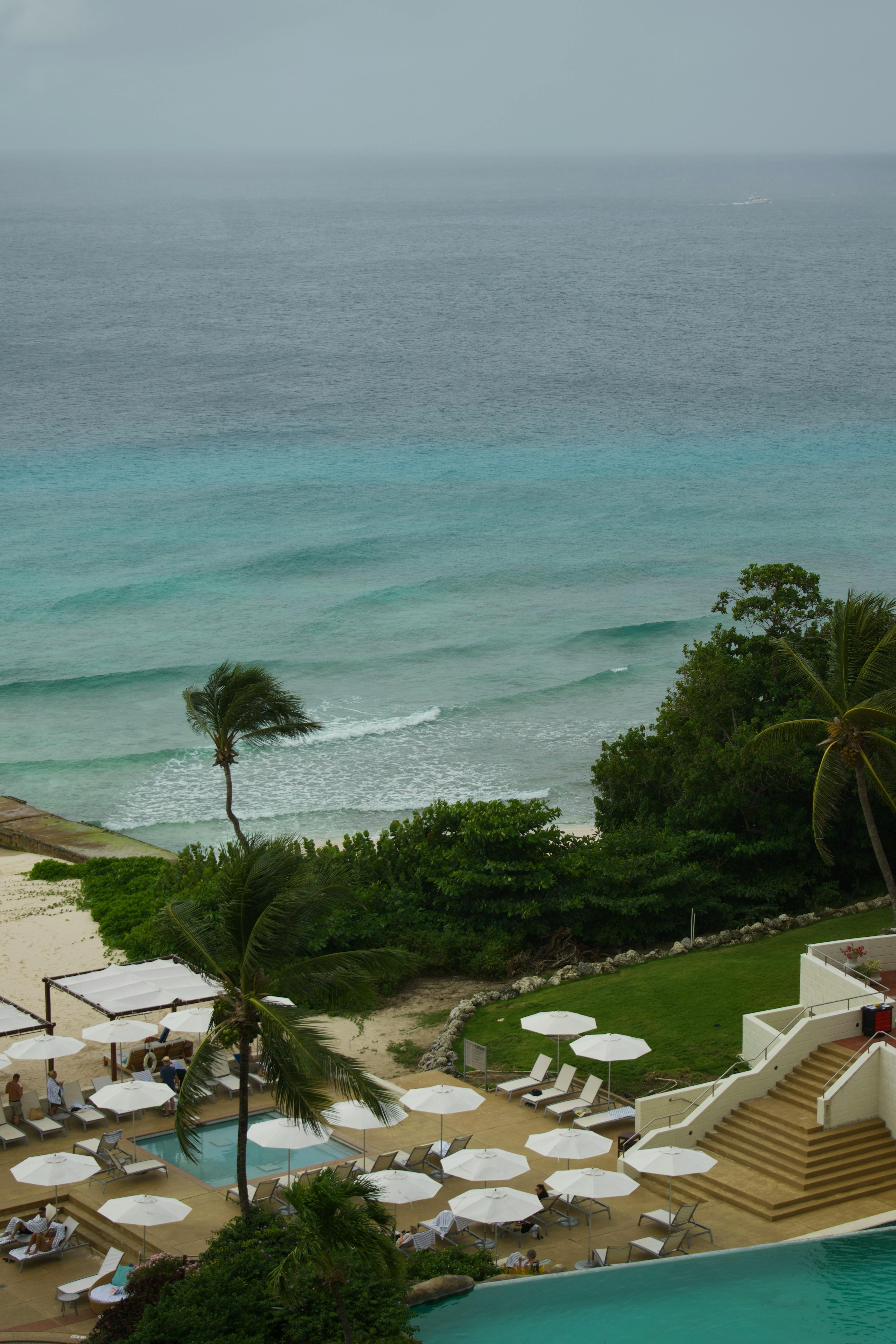  The Palms 