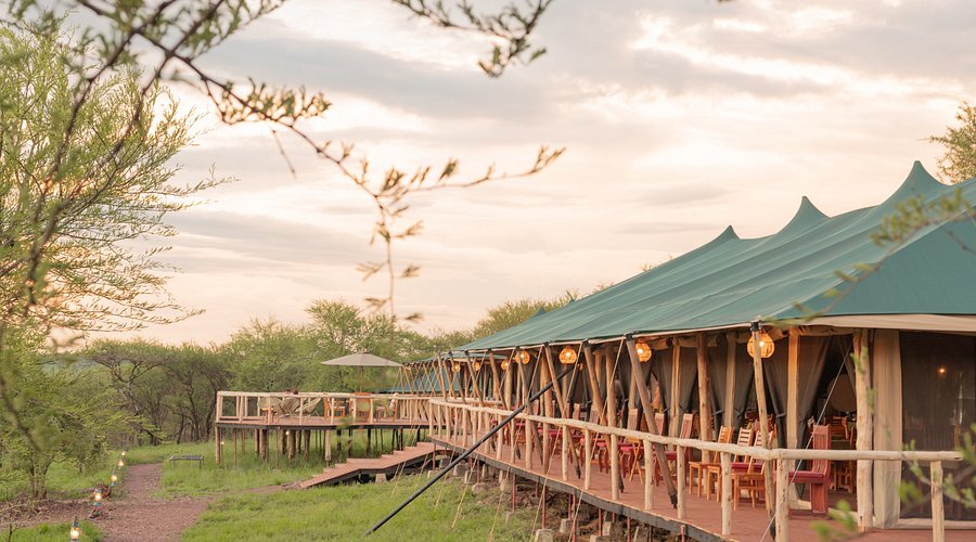  Tukaone Camps, Central Serengeti