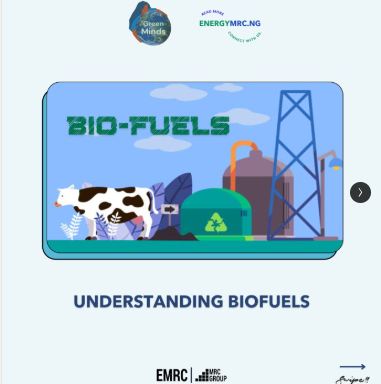 Understanding Biomass