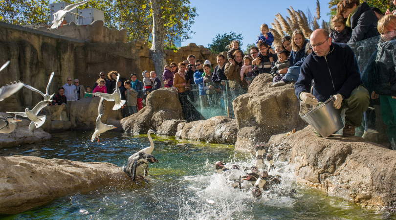 Billede af en oplevelse i zoologisk have