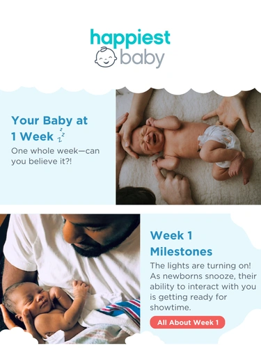 Happiest Baby Newsletter