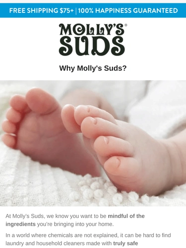 Molly's Suds Newsletter