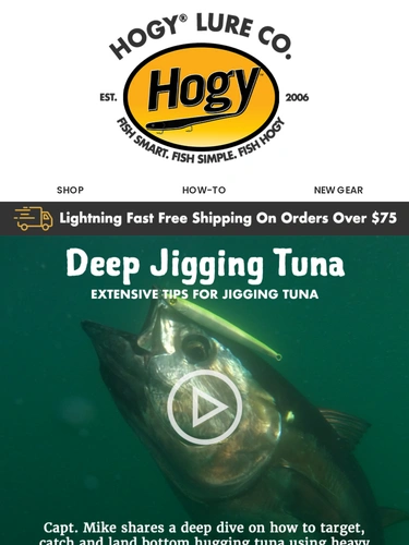 Hogylures Newsletter