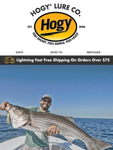 Hogylures Newsletter