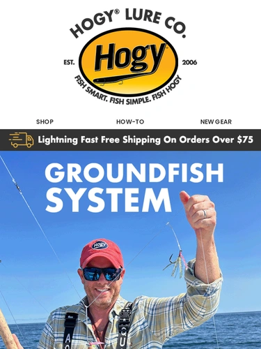 Hogylures Newsletter