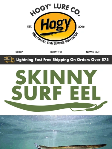 Hogylures Newsletter