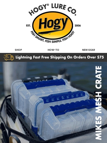 Hogylures Newsletter