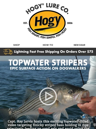 Hogylures Newsletter