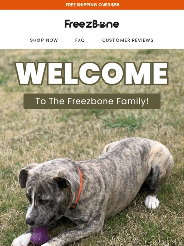 Freezbone Newsletter