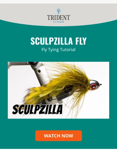 Trident Fly Fishing Newsletter