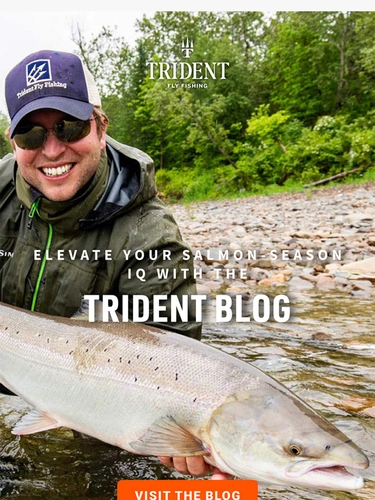 Trident Fly Fishing Newsletter