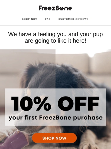 Freezbone Newsletter