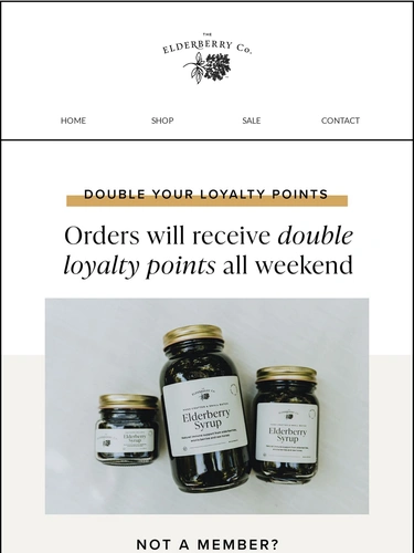 The Elderberry Company Newsletter