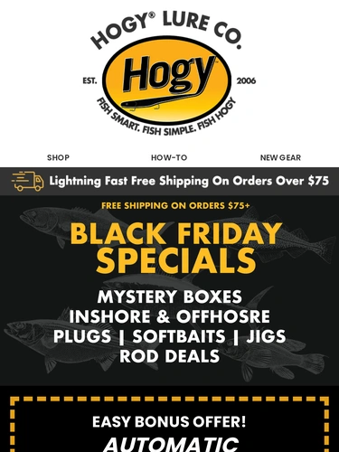 Hogylures Newsletter