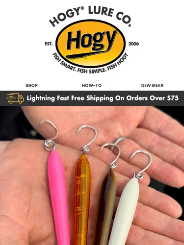 Hogylures Newsletter